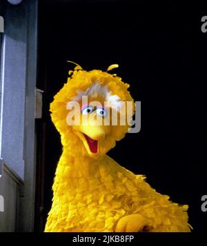 Big Bird Film: The Adventures of Elmo in Grouchland (1999) personaggi: Big Bird regista: Gary Halvorson 19 maggio 1999 **AVVISO** questa fotografia è solo per uso editoriale ed è il copyright delle IMMAGINI COLUMBIA e/o del fotografo assegnato dalla Film o dalla Production Company e può essere riprodotto solo da pubblicazioni in concomitanza con la promozione del suddetto Film. È richiesto un credito obbligatorio per LE IMMAGINI COLUMBIA. Il fotografo deve essere accreditato anche quando è noto. Nessun uso commerciale può essere concesso senza l'autorizzazione scritta della Film Company. Foto Stock