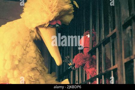 Big Bird & Elmo Film: The Adventures of Elmo in Grouchland (1999) personaggi: Big Bird & Elmo regista: Gary Halvorson 19 maggio 1999 **AVVISO** questa fotografia è solo per uso editoriale ed è il copyright delle IMMAGINI COLUMBIA e/o del fotografo assegnato dalla Film o dalla Production Company e può essere riprodotto solo da pubblicazioni in concomitanza con la promozione del suddetto Film. È richiesto un credito obbligatorio per LE IMMAGINI COLUMBIA. Il fotografo deve essere accreditato anche quando è noto. Nessun uso commerciale può essere concesso senza l'autorizzazione scritta della Film Company. Foto Stock