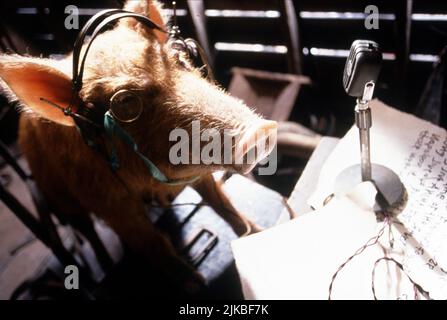 Squealer Film: Animal Farm (1999) personaggi: Squealer Director: John Stephenson 03 ottobre 1999 **AVVISO** questa fotografia è solo per uso editoriale ed è il copyright del MARCHIO DI FABBRICA e/o del fotografo assegnato dalla Film o dalla Società di produzione e può essere riprodotta solo da pubblicazioni in concomitanza con la promozione del suddetto Film. È richiesto un credito obbligatorio per IL MARCHIO DI GARANZIA. Il fotografo deve essere accreditato anche quando è noto. Nessun uso commerciale può essere concesso senza l'autorizzazione scritta della Film Company. Foto Stock