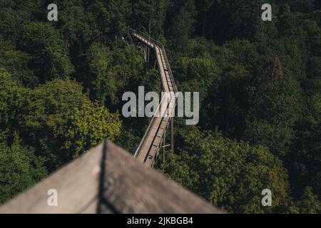 Saarschleife, il ponte panoramico in legno nel parco Foto Stock