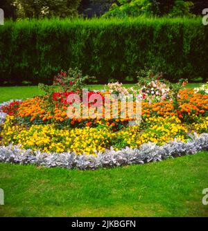 Un display floreale di colorate piante da letto fiorite estate in un letto di fiori Foto Stock