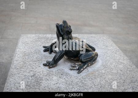 SARAGOZZA, SPAGNA-15 MAGGIO 2021: Statua della piccola rana nel centro della città Foto Stock