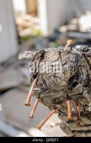 I resti della casa bruciata. Rovinato e crollato casa bruciato e danneggiato nel fuoco con resti di legno di rinforzo pali di tetto selezionare Foto Stock