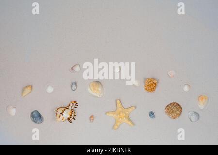 Stelle marine e conchiglie sulla sabbia. Concetto di mare. Fuoco selettivo sulle conchiglie e sulla sabbia. Luogo per un'iscrizione. Vista dall'alto. Foto Stock