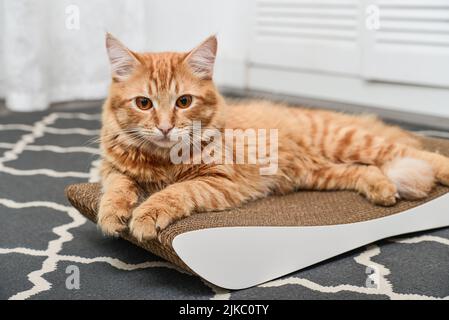 Gatto zenzero carino che giace sul moderno cartone graffiare post primo piano Foto Stock