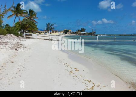 Isola di Anegada Isole Vergini britanniche Foto Stock