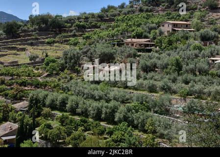 Fornalutx Mallorca Spagna Spain Foto Stock