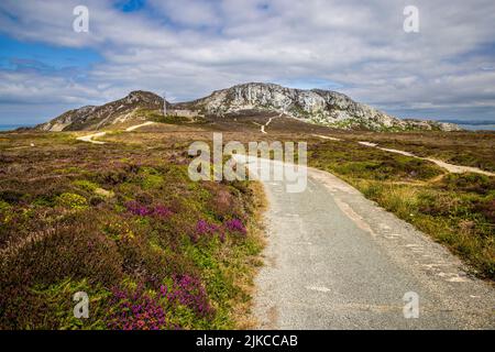 Il brano che conduce alle stazioni radio di Holyhead Mountain, Holy Island, Anglesey, Galles del Nord Foto Stock