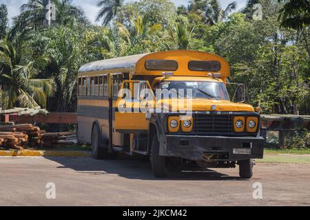 Un vecchio bus giallo ancora in funzione Foto Stock