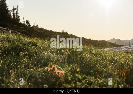 Mountain Biker in curva nel prato alpino con le montagne Foto Stock