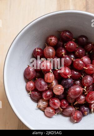 Una ciotola di frutti di bosco rossi Hinnonmaki appena raccolti e lavati su un tagliere di legno. Foto Stock