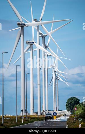 Wind farm sul Nordzeeweg, su un lungo spit di terra tra il Maas e il Calandkanaal nel porto di Europoort di Rotterdam, Paesi Bassi Foto Stock