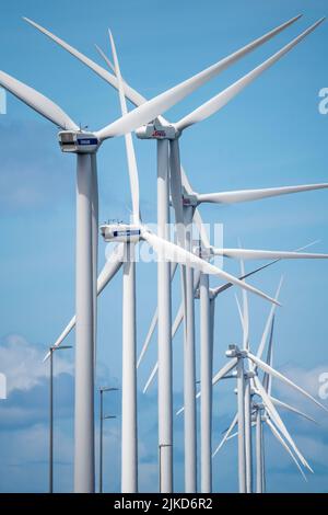 Wind farm sul Nordzeeweg, su un lungo spit di terra tra il Maas e il Calandkanaal nel porto di Europoort di Rotterdam, Paesi Bassi Foto Stock