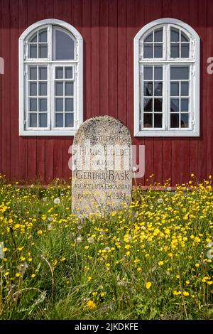 Singola pietra sepolcrale circondata da una massa di farfalle gialle di fronte alla chiesa di Saviors a Qaqortoq, Groenlandia, il 13 luglio 2022 Foto Stock