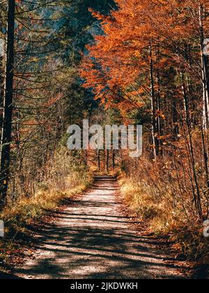 Giornata autunnale soleggiata in alta Austria Foto Stock