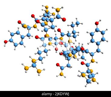 3D immagine di Neuropeptide Y scheletrico formula - struttura chimica molecolare del vasocostrittore isolato su sfondo bianco Foto Stock