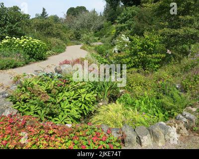 Sentieri attraverso i confini erbacei pieni di arbusti estivi nel giardino murato di Logie House, una delle attrazioni al Steading Visitor Center. Foto Stock