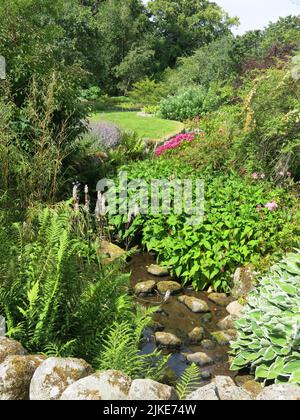 Sentieri attraverso i confini erbacei pieni di arbusti estivi nel giardino murato di Logie House, una delle attrazioni al Steading Visitor Center. Foto Stock