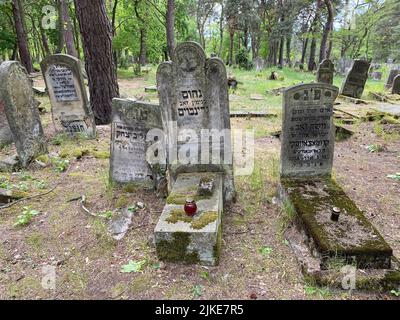 Rovine del vecchio cimitero ebraico a Otwock Polonia cmentarz żydowski w testacadini Otwock cimitero ebraico tomba ebraica beit kvarot lapide ebraica Foto Stock