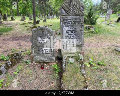 Rovine del vecchio cimitero ebraico a Otwock Polonia cmentarz żydowski w testacadini Otwock cimitero ebraico tomba ebraica beit kvarot lapide ebraica Foto Stock