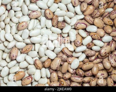 I fagioli bianchi e variegati sono mescolati. Fagioli di varietà diverse. Grani belli. Alimenti dietetici proteici. Prodotto alimentare Foto Stock