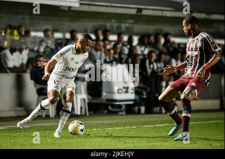 Santos, Brasile. 01st ago 2022. Durante Santos x Fluminense, una partita valida per il Campionato brasiliano 2022, che si tiene presso lo Stadio Vila Belmiro, situato nella città di Santos (SP), questo Lunedi (01). Credit: Nayra Halm/FotoArena/Alamy Live News Foto Stock