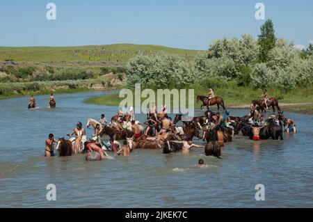 Sulla riserva indiana di Crow, Agenzia di Crow Montana Foto Stock