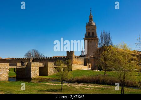 Cattedrale medievale di Assunzione di El Burgo de Osma, Spagna Foto Stock
