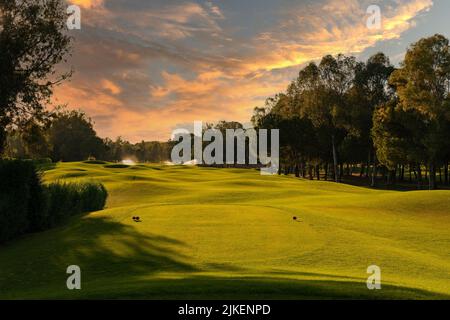 Alba dorata con un bel cielo nuvoloso sul campo da golf Foto Stock