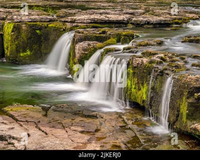 Dettaglio della forza superiore, la sezione più alta delle Cascate di Aysgarth, sul fiume Ure in Wensleydale, North Yorkshire. Foto Stock