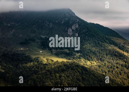Una casetta circondata dalla foresta delle Alpi Foto Stock