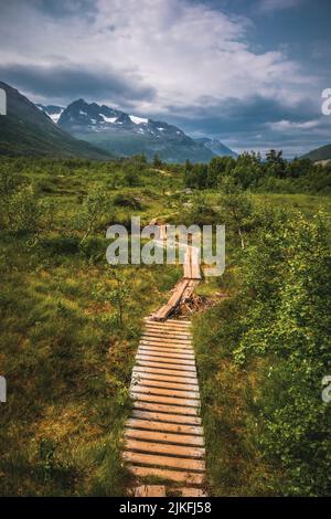 Sentiero per la montagna Skarfjell a Innerdalen, Norvegia Foto Stock