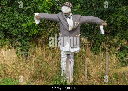 Un affascinante capricello nella campagna dello Yorkshire con una giacca elegante, una camicia bianca e un arco dickie. Rivolto in avanti. Orizzontale. Spazio per la copia. Foto Stock