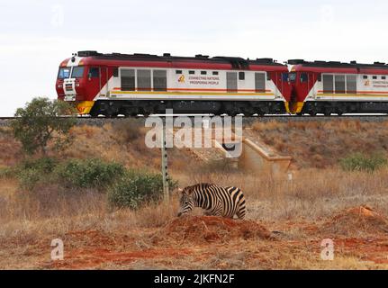 (220802) -- NAIROBI, 2 agosto 2022 (Xinhua) -- uno zebra è visto vicino ad una recinzione mentre un treno di merci corre sulla pista ferroviaria di Mombasa-Nairobi in Kenya, il 28 luglio 2022. La ferrovia cinese a scartamento standard Mombasa-Nairobi (SGR) ha appena festeggiato il suo quinto anniversario di funzionamento sicuro. La ferrovia di Mombasa-Nairobi attraversa riserve naturali come il Parco Nazionale di Nairobi e il Parco Nazionale di Tsavo. Al fine di ridurre l'impatto sull'ambiente, durante la progettazione e la costruzione della ferrovia sono state adottate una serie di misure, come ad esempio l'aggiramento delle mangrovie, che contribuiscono a mantenere il m Foto Stock