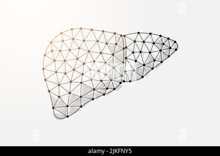 Simbolo di poly a basso contenuto di fegato 3D con punti collegati. Epatite, illustrazione del vettore di disegno del trapianto umano. Struttura a reticolo poligonale dell'anatomia dell'organo Illustrazione Vettoriale