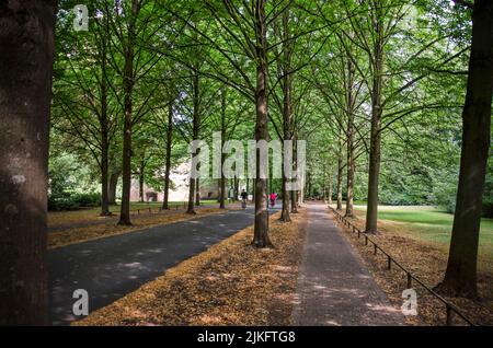 Münster, Germania, 29 luglio 2022: Sentiero pedonale e ciclabile tra quattro file di alberi sul lungomare della città intorno al centro storico Foto Stock