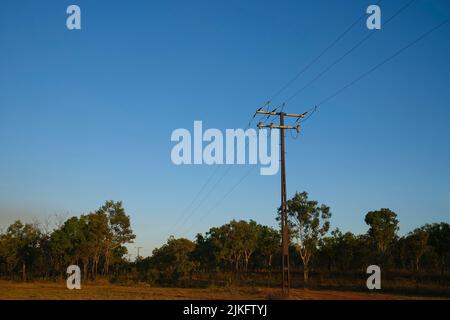 Linee elettriche nel bush australiano nel territorio settentrionale dell'Australia Foto Stock