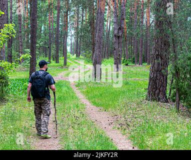 Un turista solistico in berretto con uno zaino cammina lungo un sentiero nella foresta. Foto Stock