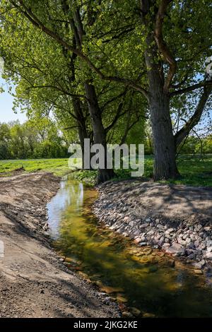 03.05.2022, Germania, Renania Settentrionale-Vestfalia, Haltern - rinato, ridisegnato torrente Gecksbach. Protezione contro le alluvioni sulla Lippe. Acque sotterranee da Foto Stock