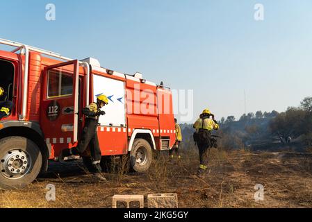 Si vedono vigili del fuoco che lavorano per estinguere diversi incendi nella campagna della regione della Catalogna, dove numerosi incendi sono infurianti durante un Foto Stock