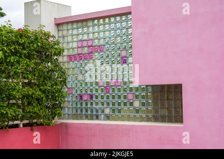 Un muro di vetro in mattoni in un giardino rosa parete Foto Stock