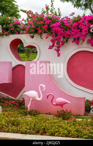 Primo piano di cuori e fiori su parete rosa Foto Stock