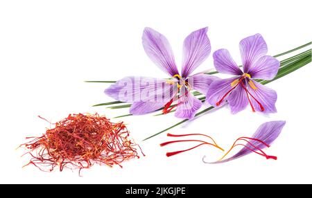 Fiori di zafferano con gruppo di stimmi secchi isolato su sfondo bianco Foto Stock