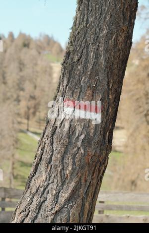 Uno scatto verticale di un cartello di sentiero rosso e bianco sull'albero Foto Stock