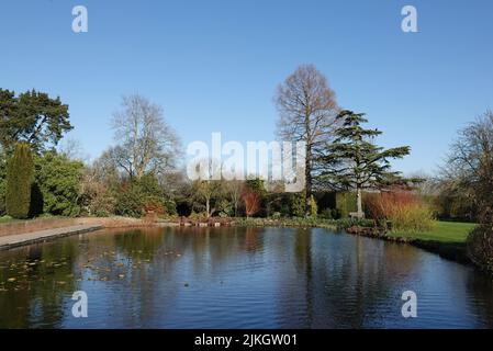 Lo stagno a RHS Garden Hyde Hall, Chelmsford, Essex, Regno Unito Foto Stock