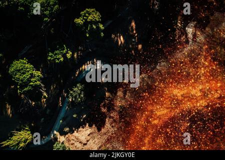 Vista aerea dall'alto in basso del fuoco della foresta in arbusti e alberi accanto a un sentiero nella foresta Foto Stock