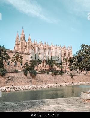 Una bella vista sulla Catedral-Basilica di Santa Maria de Mallorca con palme Foto Stock