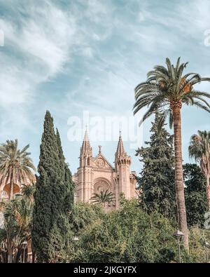 Una bella vista sulla Catedral-Basilica di Santa Maria de Mallorca con palme Foto Stock