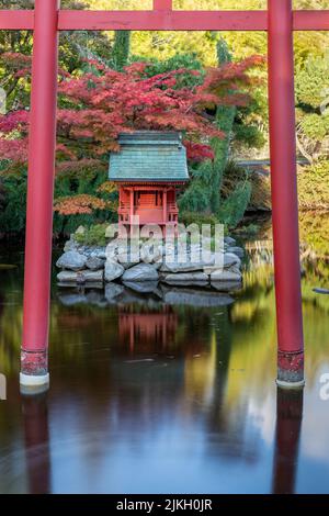 Pagoda Rossa circondata dalla porta di Torii nello stagno Giardino Giapponese nel Parco Point Defiance, Tacoma, WA Foto Stock
