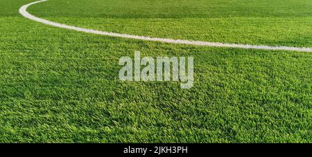 La sezione centrale di un campo da calcio con erba fresca Foto Stock